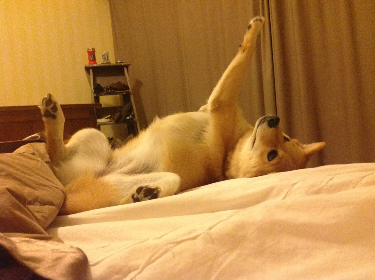 开云体育平台APP-围场咏叹调，当绝对性能碾压天赋，班凯罗的无解败局成终极教材