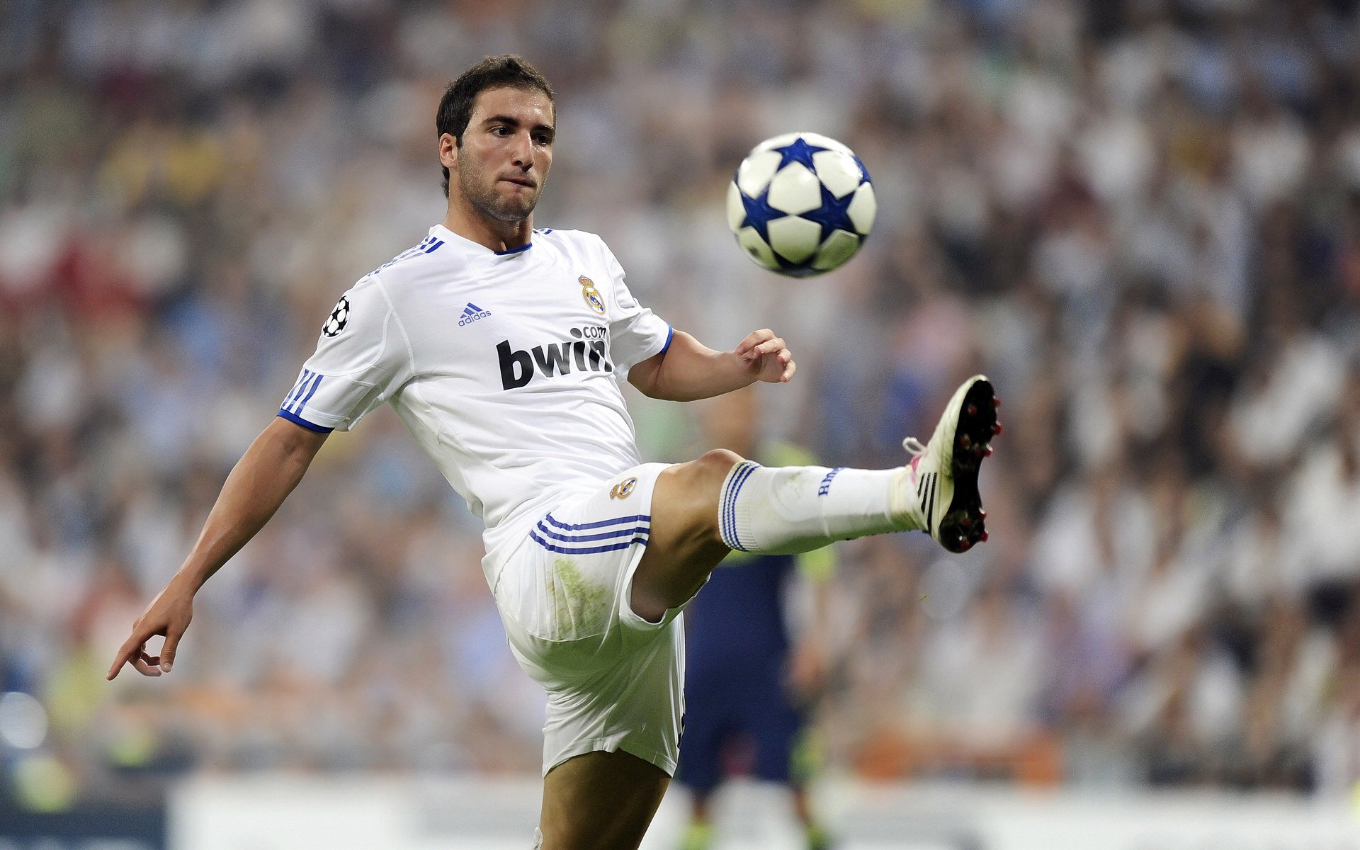 开云体育在线-当F1冠军悬念在黑夜中沸腾，班凯罗用赛道级表现诠释何为极致竞争